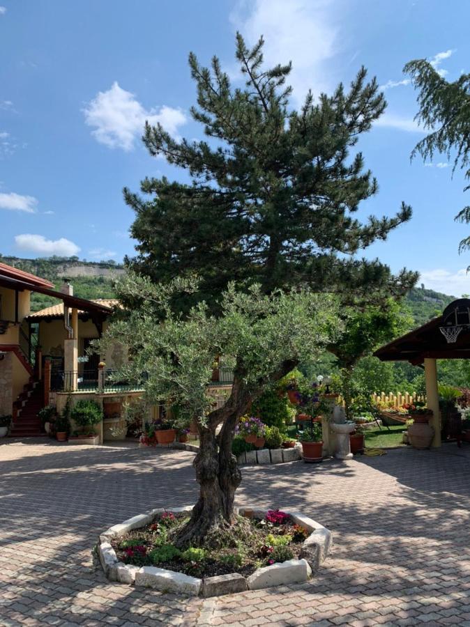 Le Ceppete Διαμέρισμα Palombaro Εξωτερικό φωτογραφία